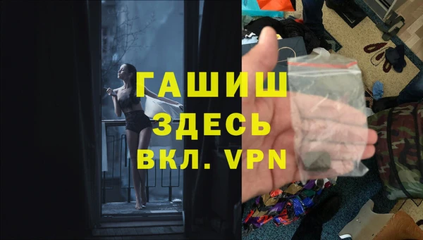 шишки Бородино