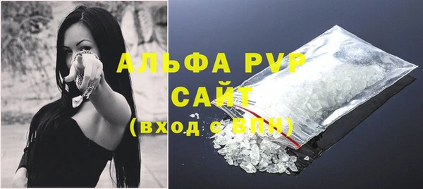 индика Тихвин