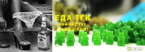 индика Тихвин