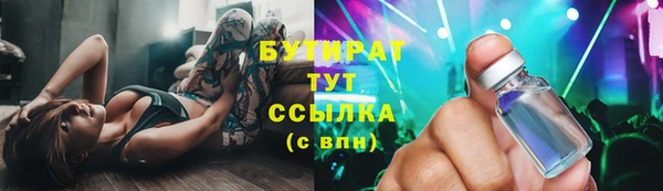 шишки Бородино