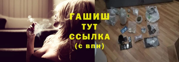 шишки Бородино