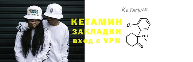 шишки Бородино