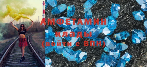 шишки Бородино