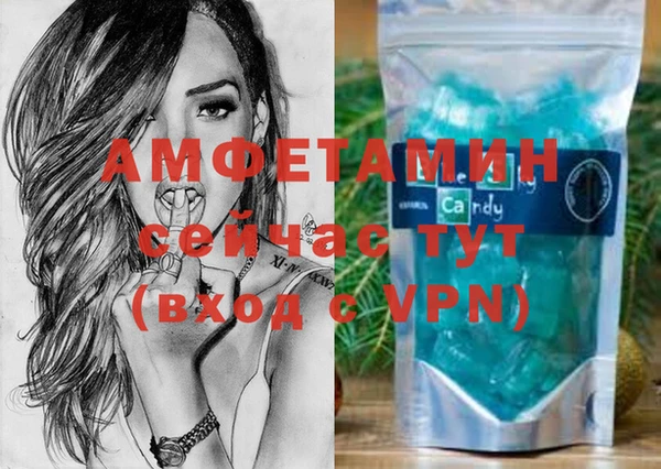 шишки Бородино