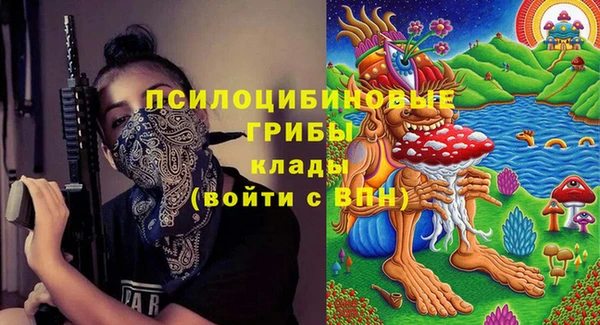 шишки Бородино
