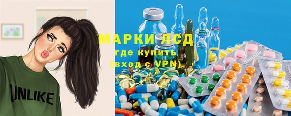 шишки Бородино